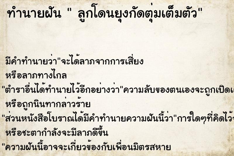 ทำนายฝัน  ลูกโดนยุงกัดตุ่มเต็มตัว